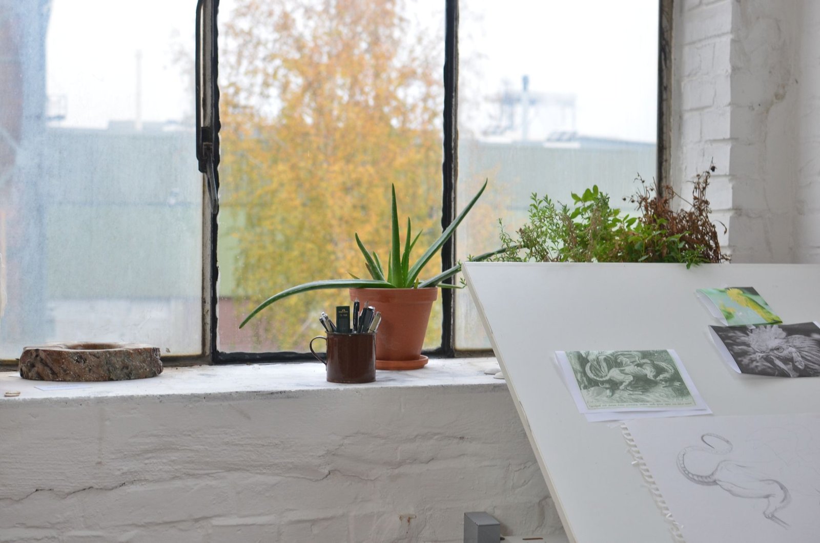 A sunlit corner of an artist's studio