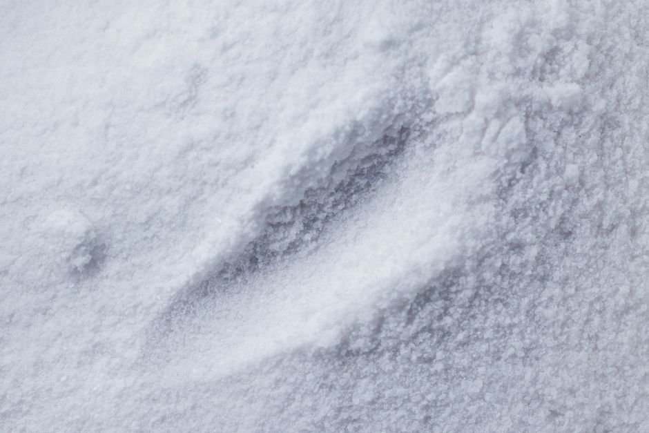 Macro photograph of white powdered clay texture